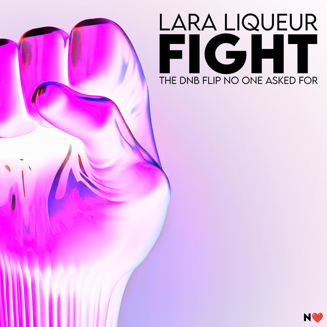 Cover Artwork Fight (D&B Flip)