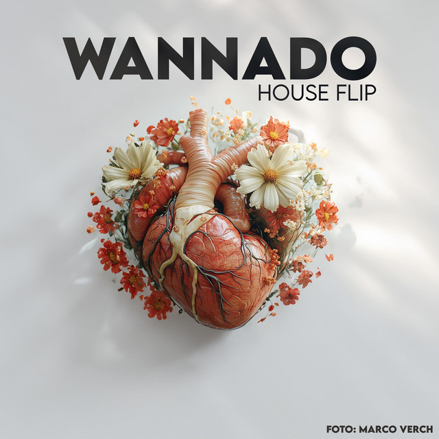 Cover Artwork Wannado (House Flip)