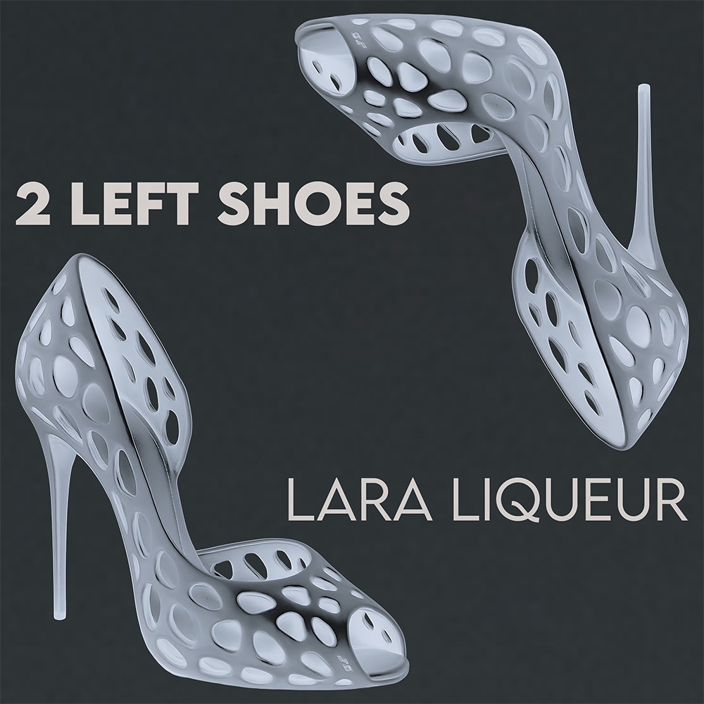 Cover Artwork 2 Left Shoes